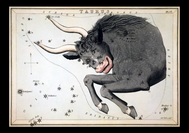 tauro signo