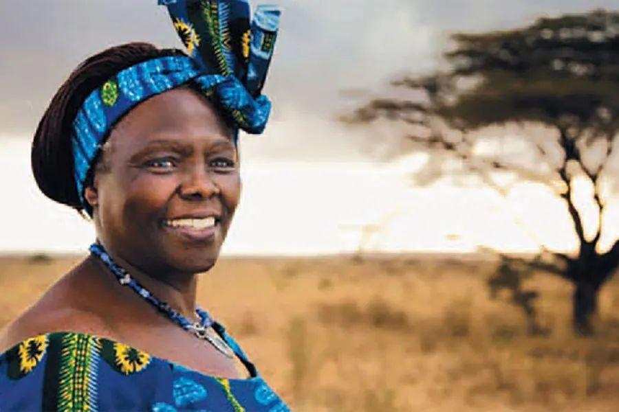 Cómo Wangari Maathai lideró el movimiento verde en Kenia: la guardiana del medio ambiente 1 Moncloa La triste realidad de Kenia