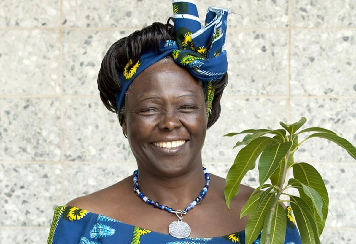 Cómo Wangari Maathai lideró el movimiento verde en Kenia: la guardiana del medio ambiente 3 Moncloa El legado de Maathai