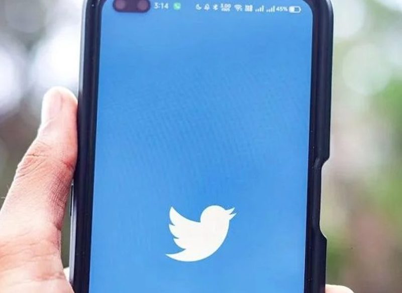 PÉRDIDA DE INGRESOS POR CULPA DE TWITTER