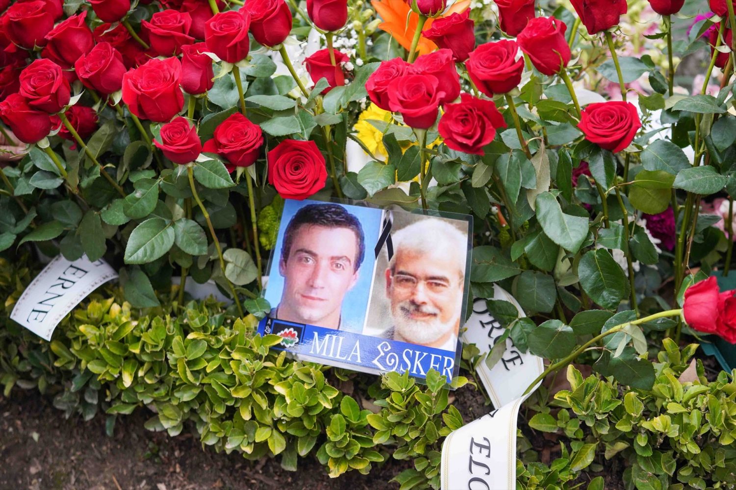 Retratos del dirigente socialista vasco Fernando Buesa y a su escolta, el ertzaina Jorge Díez, asesinados en el mismo atentado por la banda terrorista ETA, en los Jardines de la Libertad, en una ofrenda floral, a 22 de febrero de 2023, en Vitoria-Gasteiz, Álava, Euskadi (España)