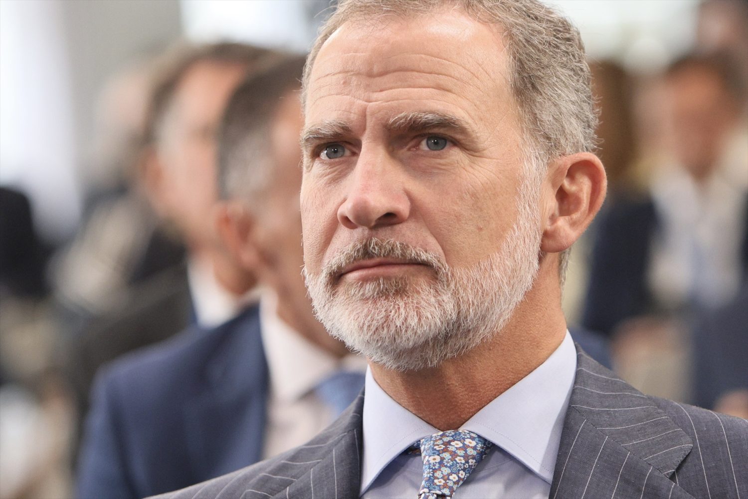 Rey_felipe VI