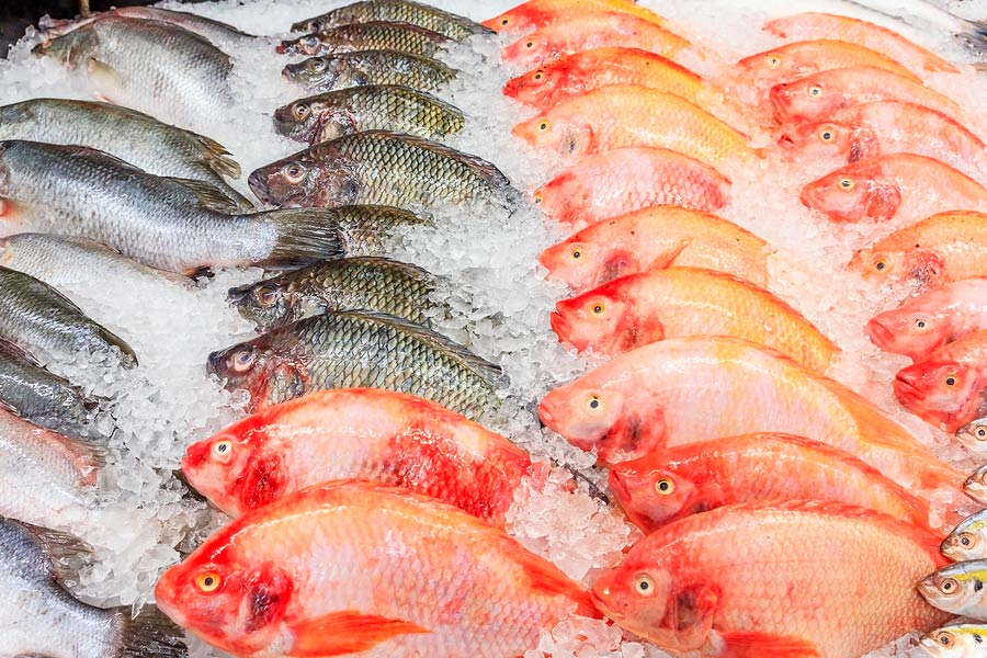 La OCU te cuenta cinco consejos para comprar pescado fresco y saludable en Semana Santa 2 Moncloa pescado hielo Moncloa