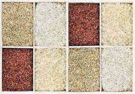 tipos de arroz Moncloa