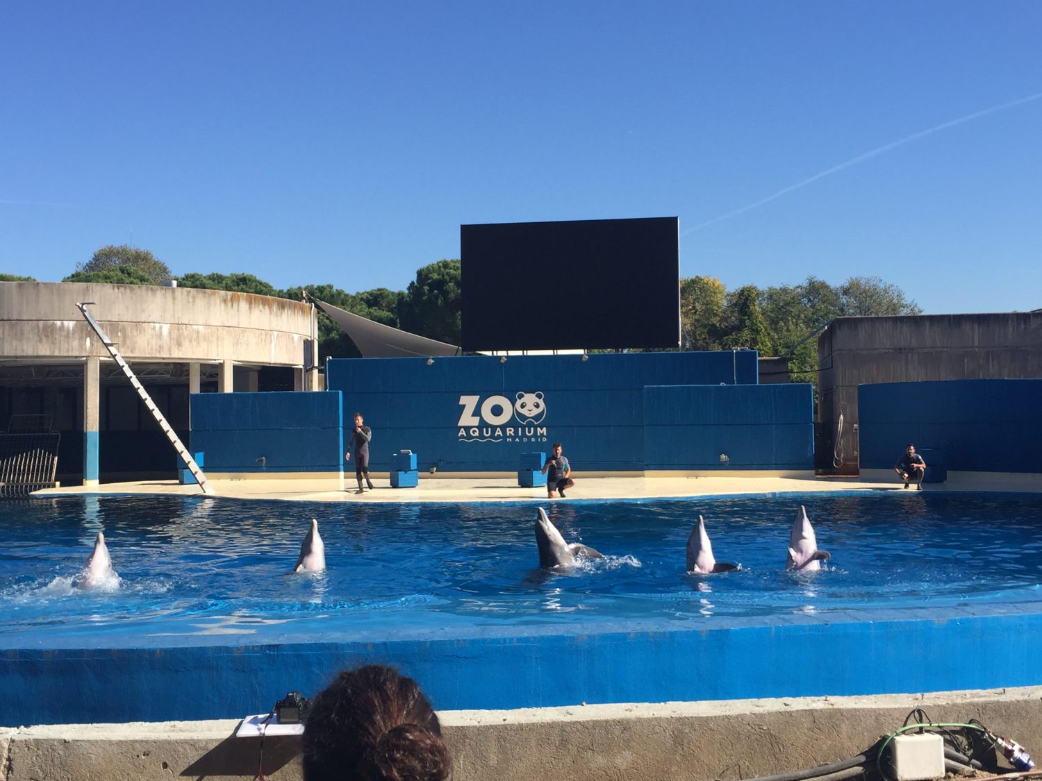 Descubre la guía perfecta: lugares imperdibles en invierno para disfrutar con niños en Madrid 4 Moncloa EL ZOO AQUARIUM DE MADRID