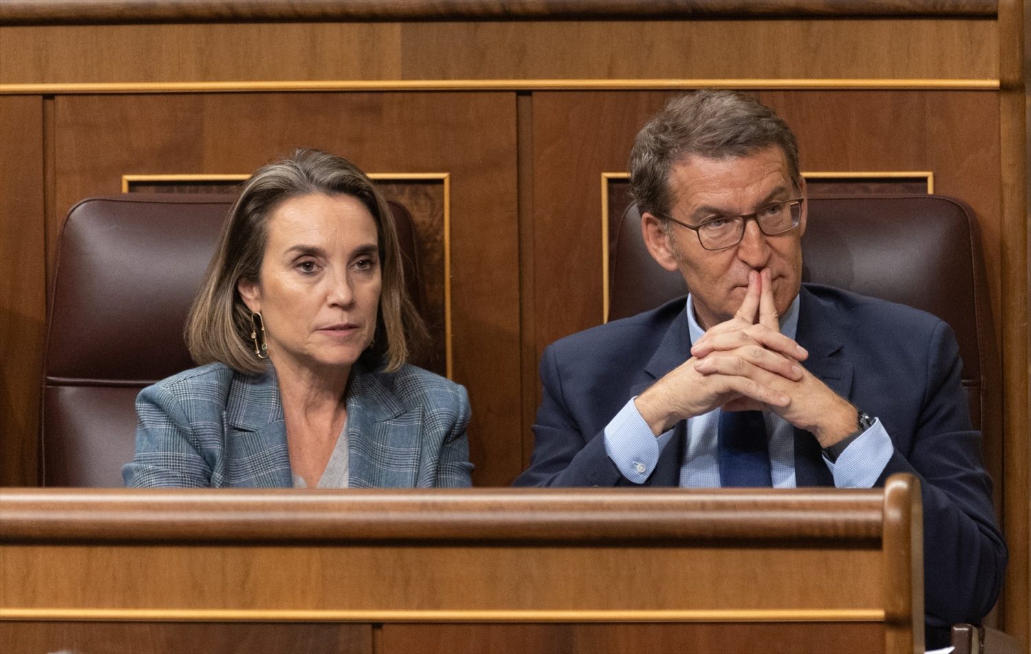 Alberto Núñez Feijóo en el debate de investidura de Pedro Sánchez | Foto: Eduardo Parra / Europa Press
