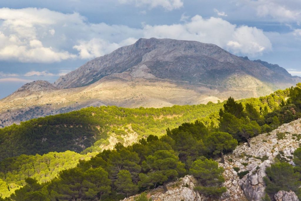 Parque Natural de la Sierra de las Nieves Malaga Moncloa