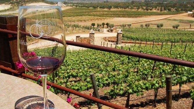 Descubre el encanto: los fascinantes beneficios de disfrutar del vino tinto. ¡Sumérgete en sus secretos saludables! 3 Moncloa VINOS TINTOS DEL MUNDO