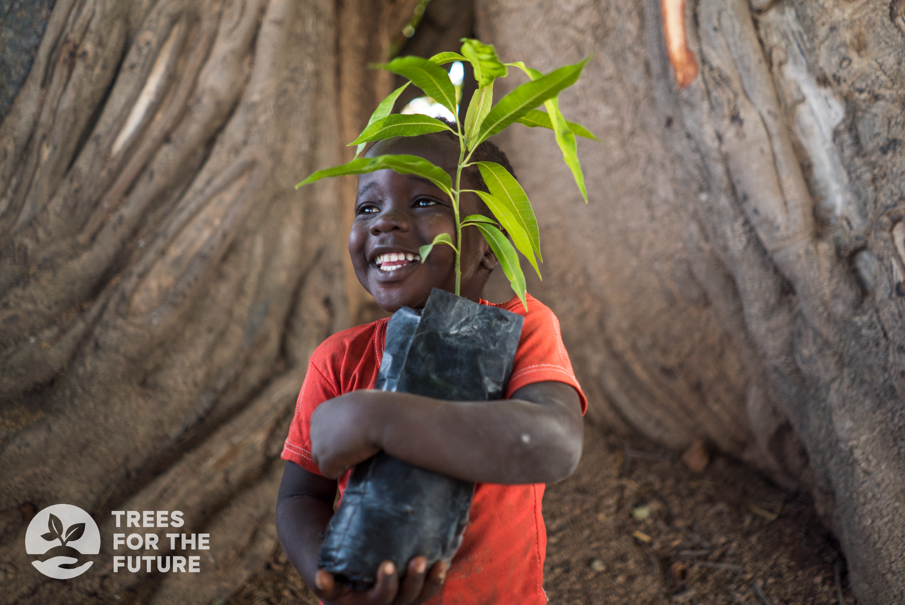 TREES Senegal Boy with seedilng 1 Moncloa