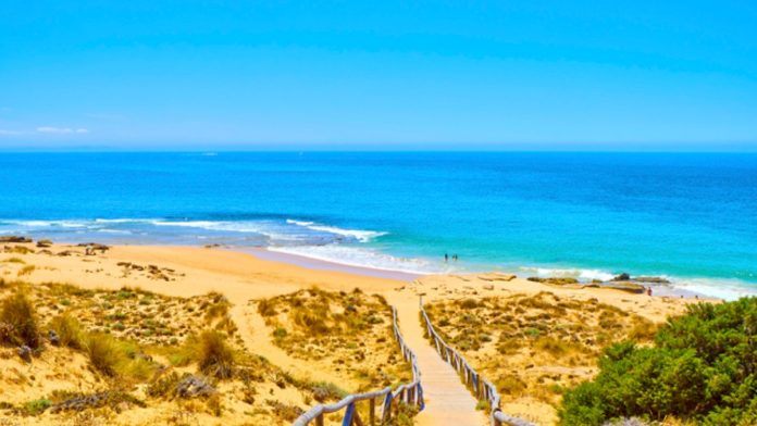 cadiz