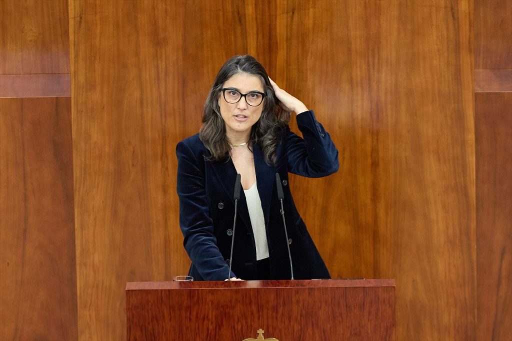 Bergerot seguirá los pasos de Mónica García en su oposición a Ayuso | Foto: Europa Press