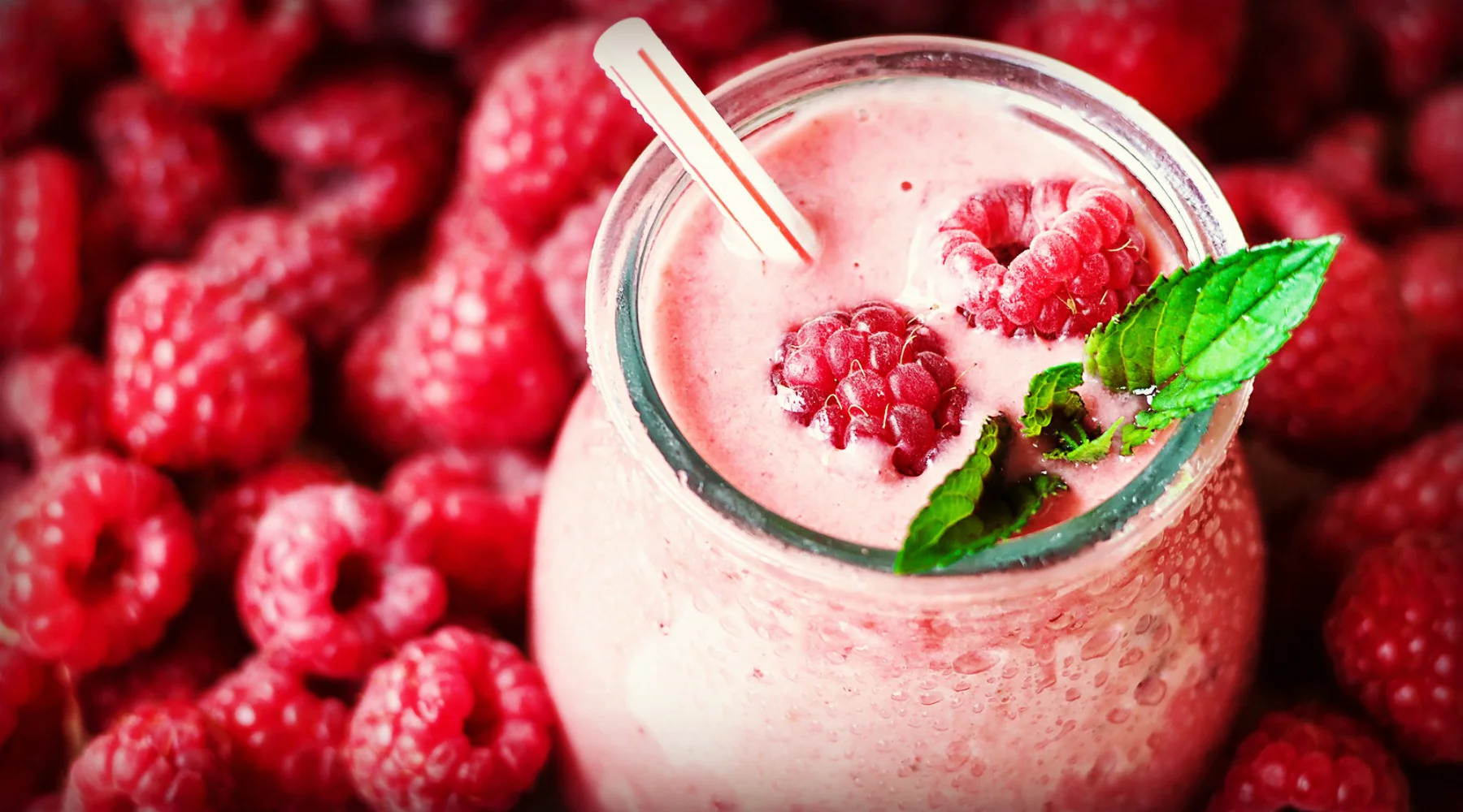 Secreto nutricional: descubre el asombroso efecto de beber a diario infusión de frutos rojos, según nutricionistas expertos 2 Moncloa RECOMENDACIONES PARA SU CONSUMO