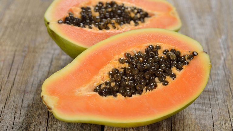 Maravillas ocultas: Descubre los 8 increíbles beneficios de las hojas de papaya para tu bienestar 1 Moncloa UNA FUENTE RICA DE NUTRIENTES