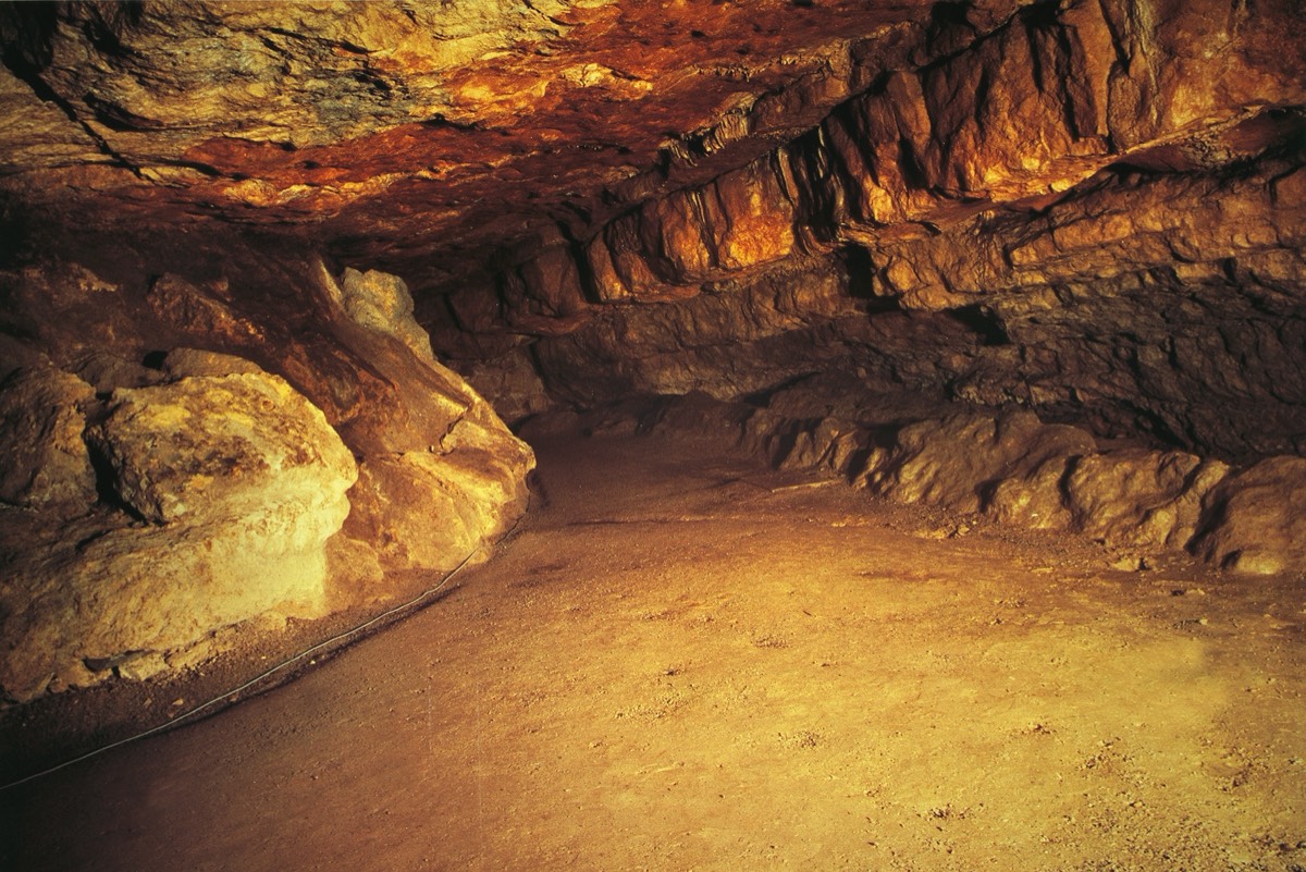 Descubre el encanto secreto de Altamira: Un viaje al corazón de los frescos prehistóricos 4 Moncloa EL IMPACTO DE ALTAMIRA EN EL ARTE Y LA CIENCIA