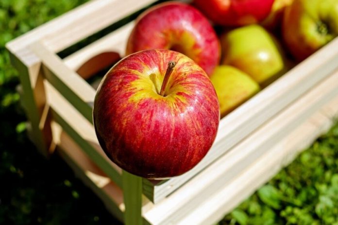 manzana 5