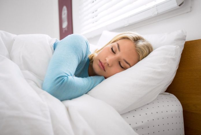 descanso SUEÑO HARVARD