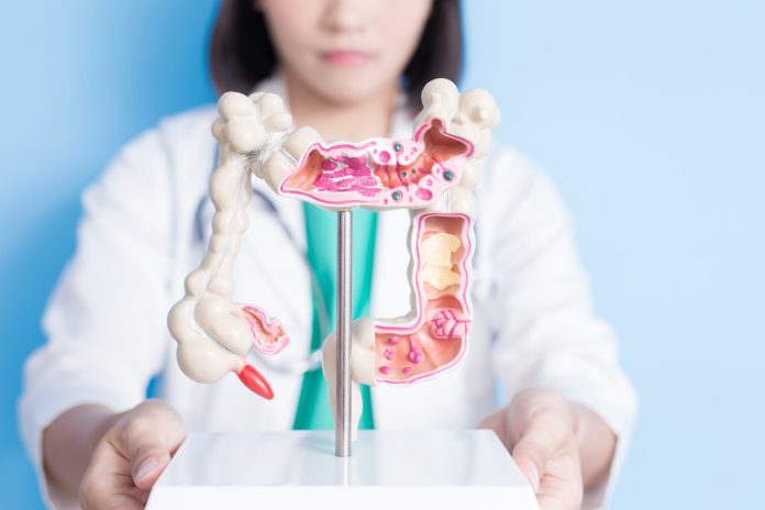 Transforma tu bienestar: Descubre 5 soluciones naturales para revitalizar tu colon, alcanzando una salud óptima de forma efectiva