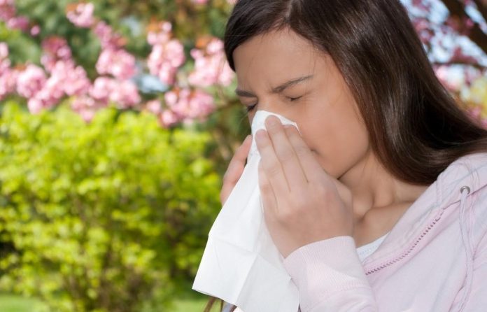 Sinusitis o Alergias: Descubre por qué confundirlas puede arruinar tu día