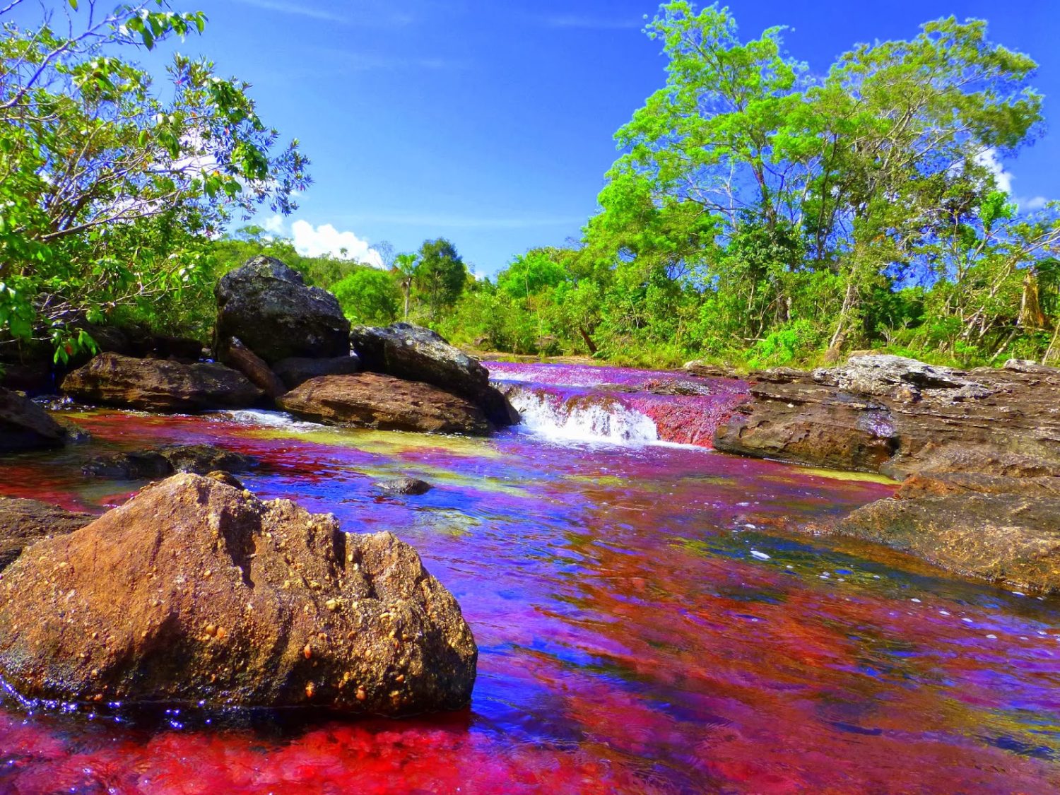 Caño Cristales, joya natural en Latinoamérica: un paraíso que despierta los sentidos y asombra con colores vibrantes 1 Moncloa UN PARAÍSO DE AGUAS IRIDISCENTES