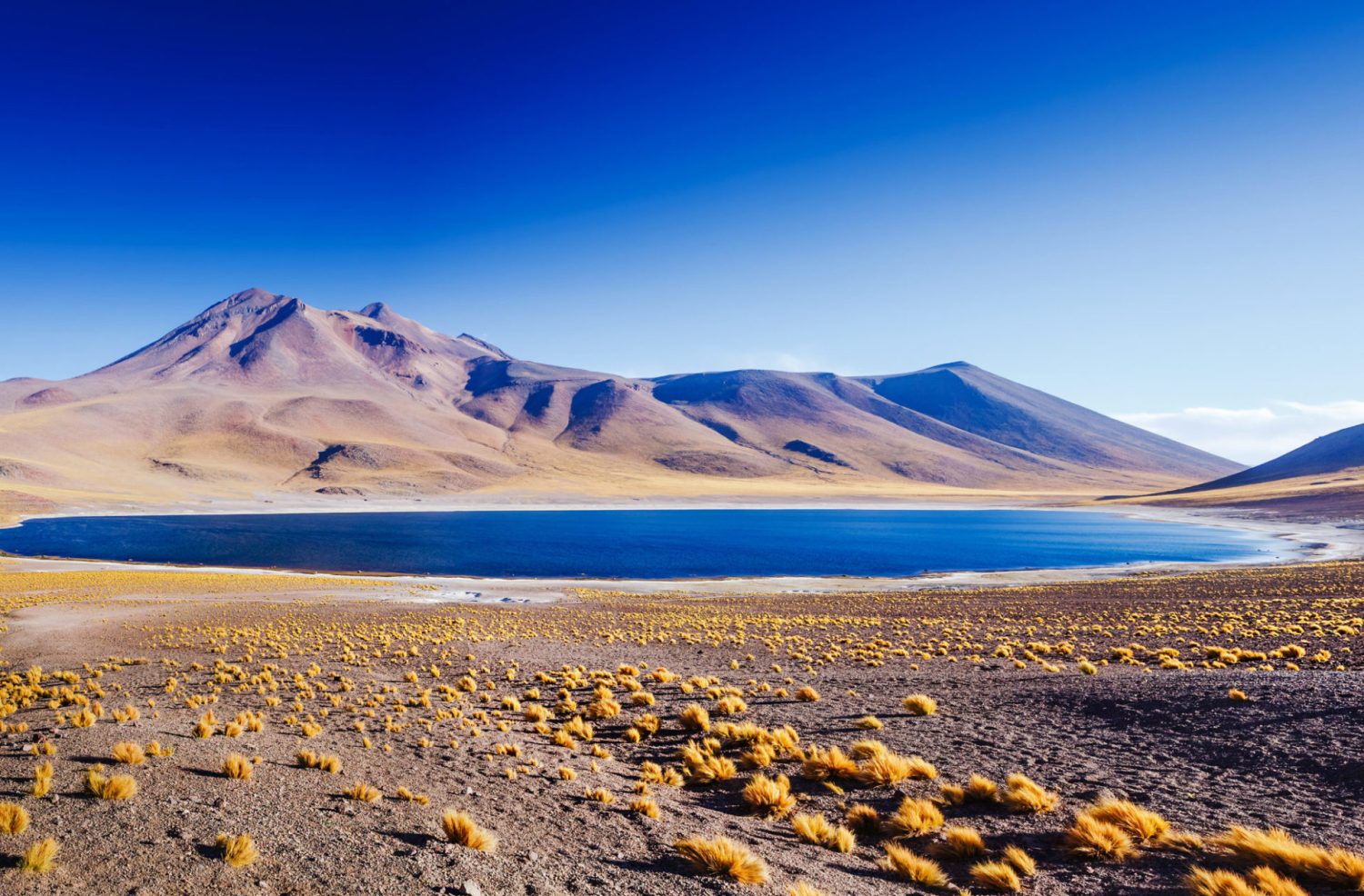 ADENTRÁNDOSE EN EL DESIERTO DE ATACAMA O UN VIAJE AL HEART REEF EN AUSTRALIA