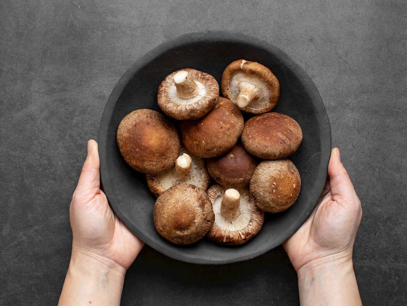 Setas: ¿Superfood o superproblema? Lo que no te dicen 4 Moncloa SETAS Y SU HUELLA AMBIENTAL