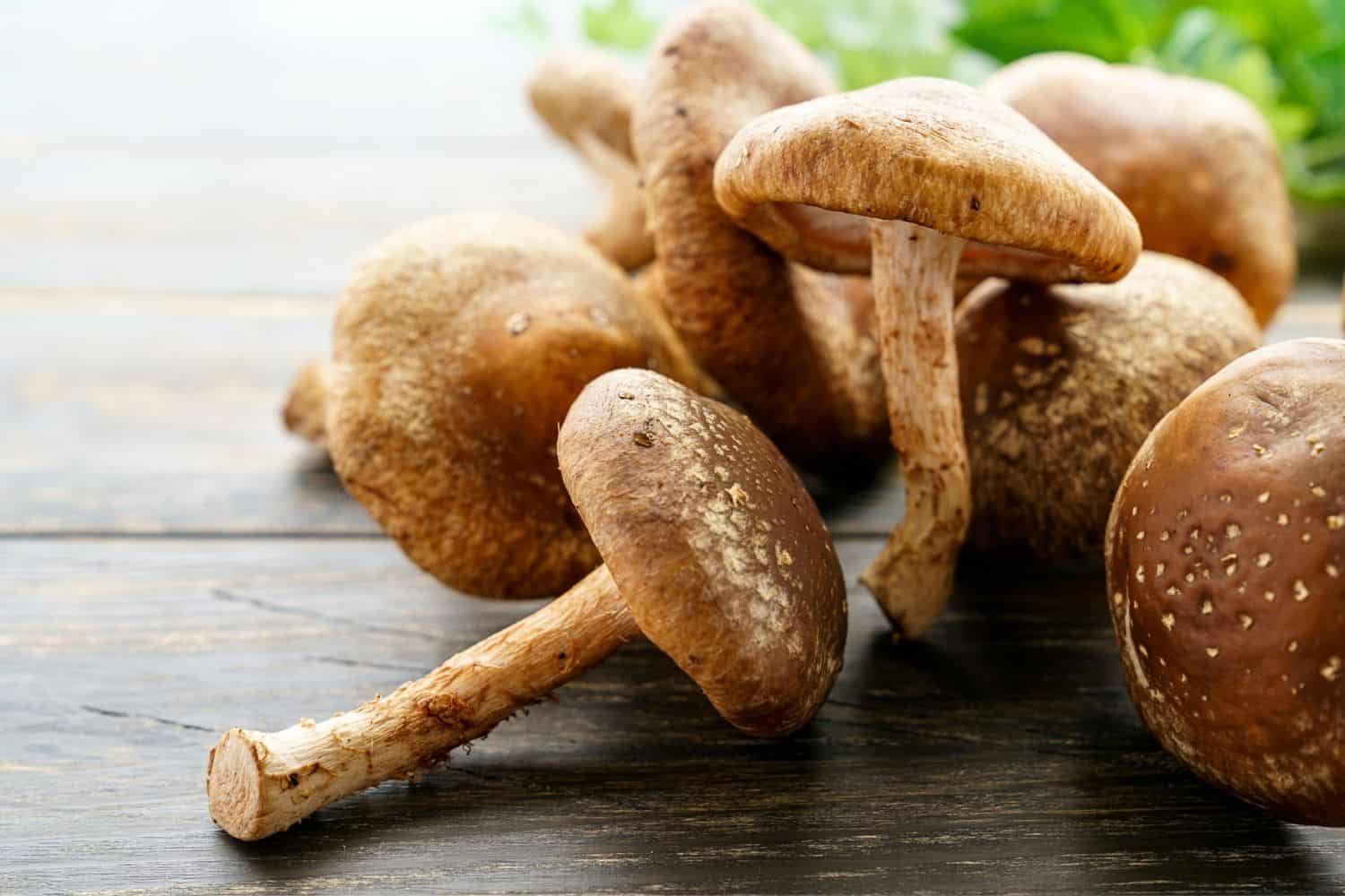 Setas: ¿Superfood o superproblema? Lo que no te dicen 2 Moncloa EL ASCENSO DE LAS SETAS EN LA ALIMENTACIÓN