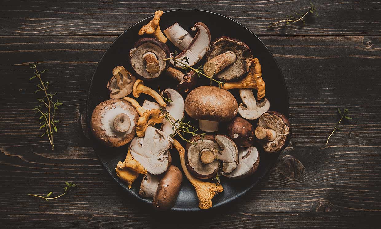 Setas: ¿Superfood o superproblema? Lo que no te dicen 1 Moncloa EL ASCENSO DE LAS SETAS EN LA ALIMENTACIÓN