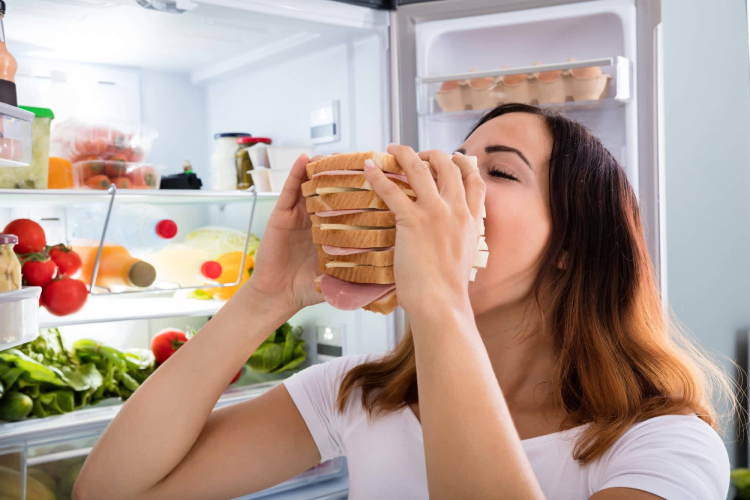 CONTROL DE PORCIONES Y FRECUENCIA DE LAS COMIDAS