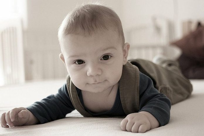 bebés