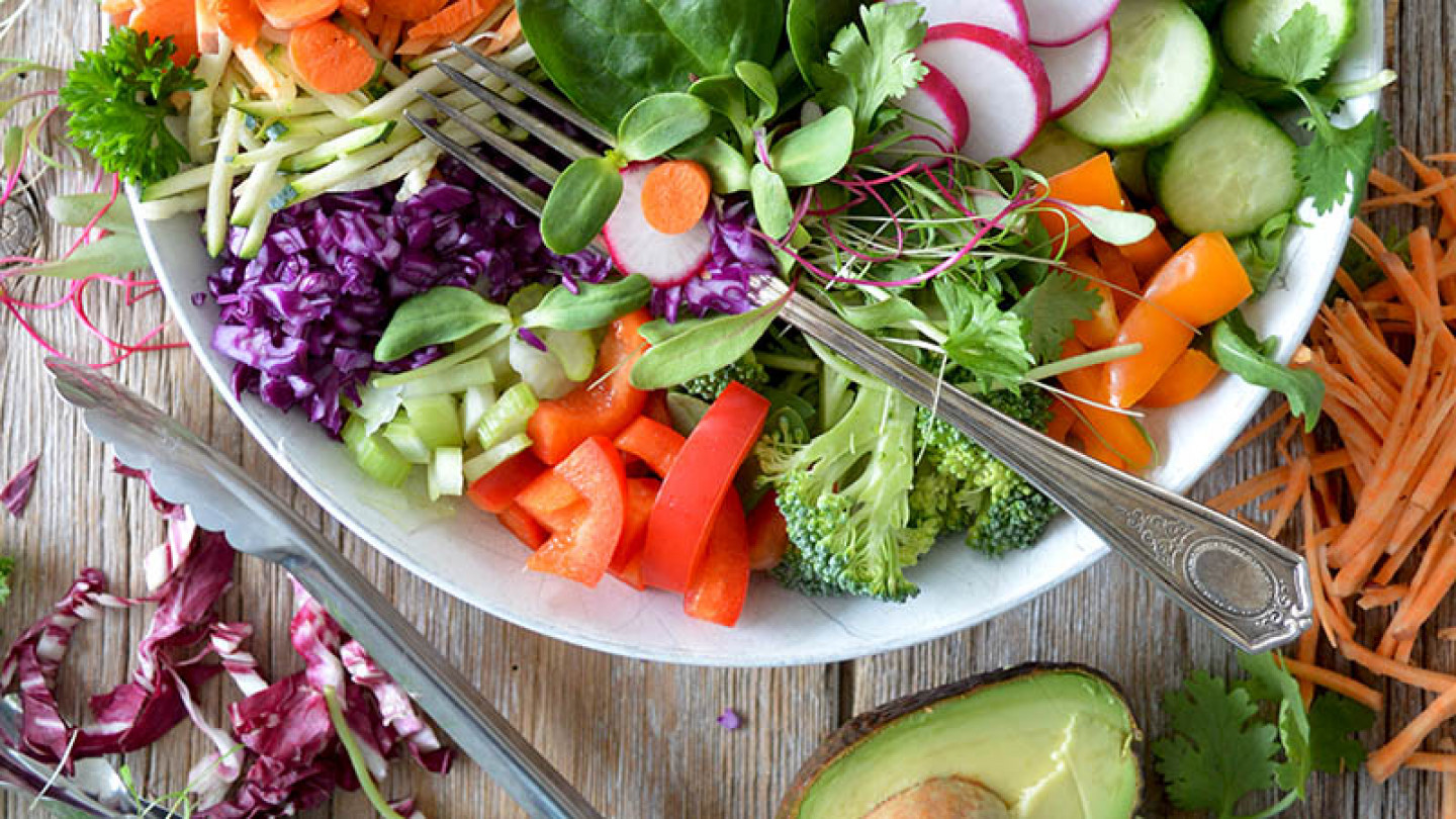 DESAFÍOS NUTRICIONALES DE LA DIETA CRUDIVEGANA