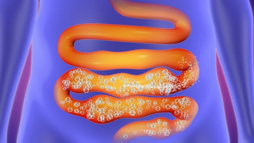 Domina la flatulencia: Descubre diez soluciones caseras para controlar los gases intestinales. Recupera tu bienestar de inmediato 1 Moncloa DIETA Y NUTRICIÓN PARA UNA MEJOR DIGESTIÓN