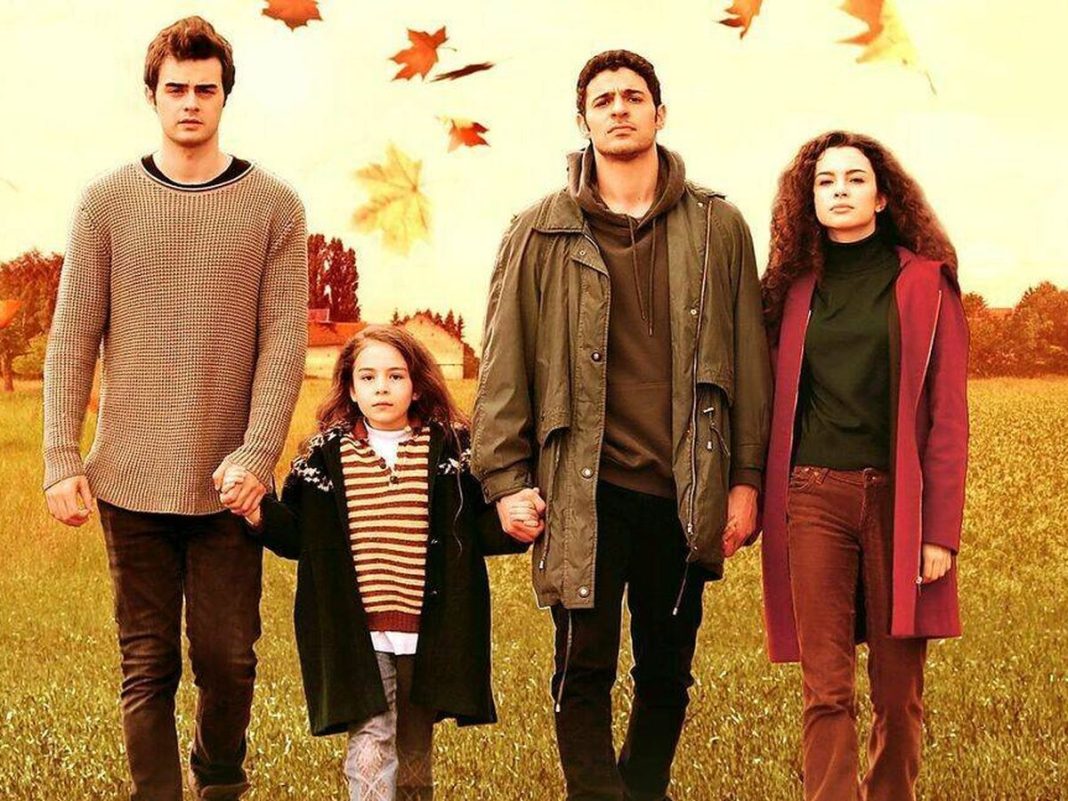 hermanos serie