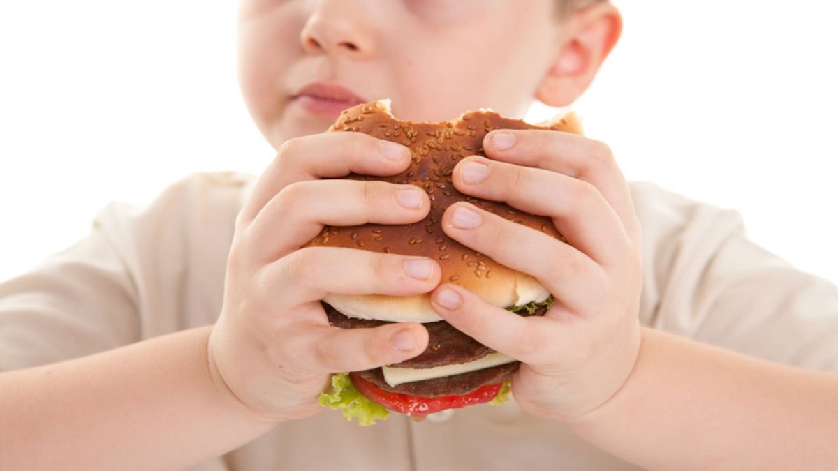 ¿Esclavo de la comida? Descubre cómo romper las cadenas de la adicción 1 Moncloa LAS RAÍCES DE LA ADICCIÓN ALIMENTARIA