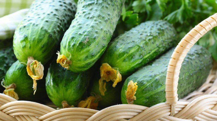 La ensalada de pepino a la japonesa que te ayudará a bajar los kilos de más de las Navidades 2 Moncloa LA RECETA PASO A PASO