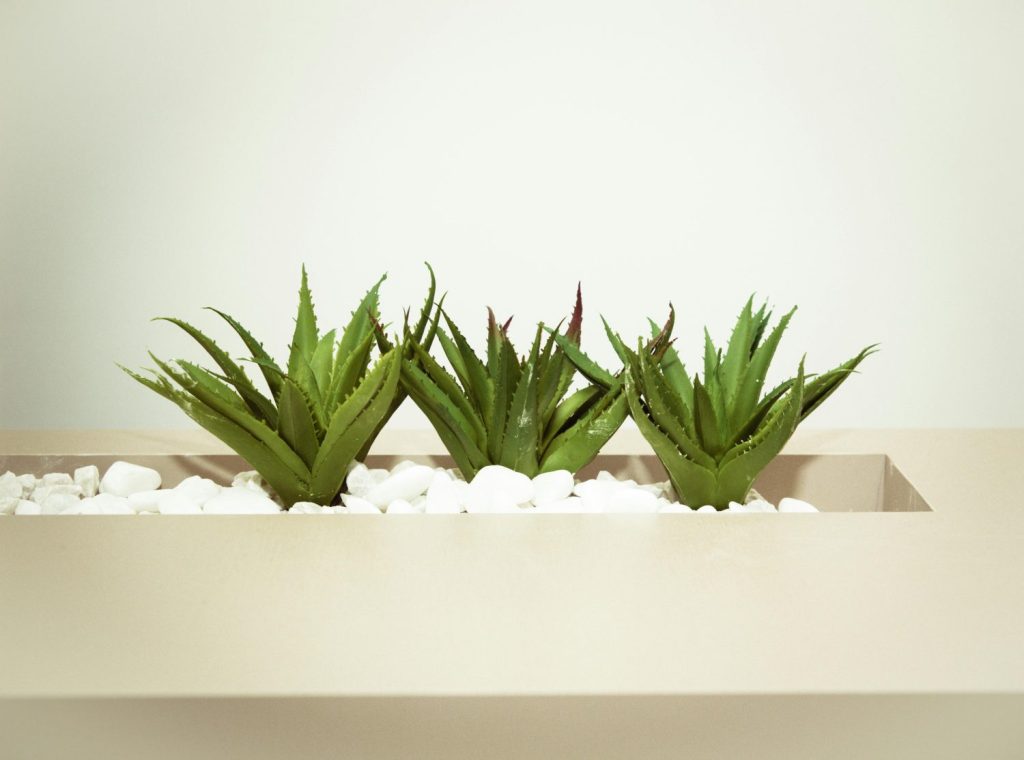Descubre el gel post-depilación de aloe vera de Mercadona: refresca y calma tu piel, una experiencia rejuvenecedora después de depilarte 2 Moncloa Aloe
