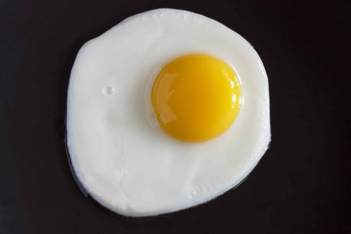 huevos