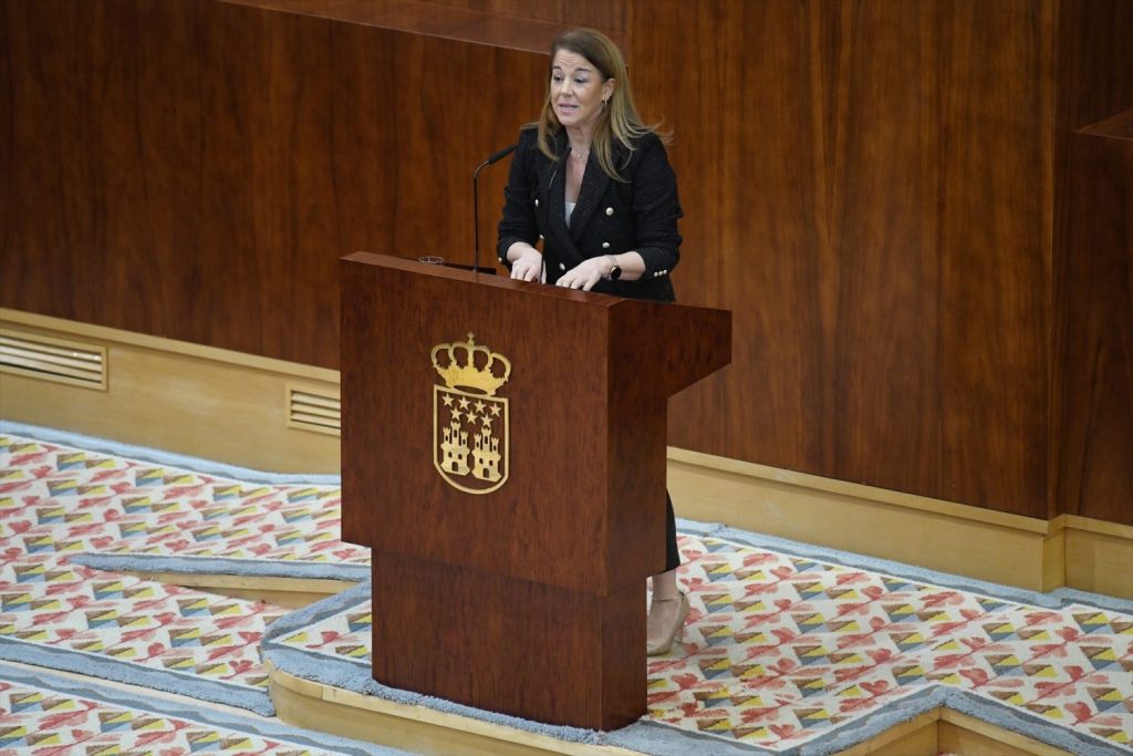 Dimite Ana Cuartero (Vox) presidenta de la Comisión de Vigilancia de las Contrataciones | Foto: Europa Press