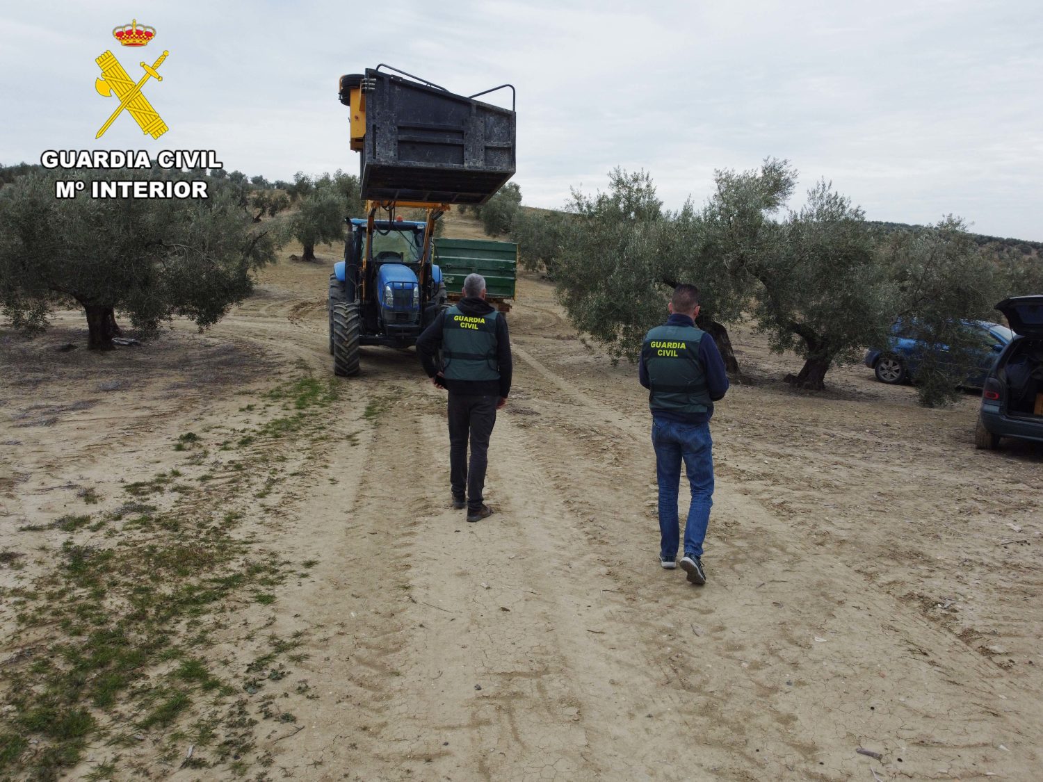Seis detenidos por emplear 10 horas al día sin contrato a 34 personas en dos empresas agrícolas