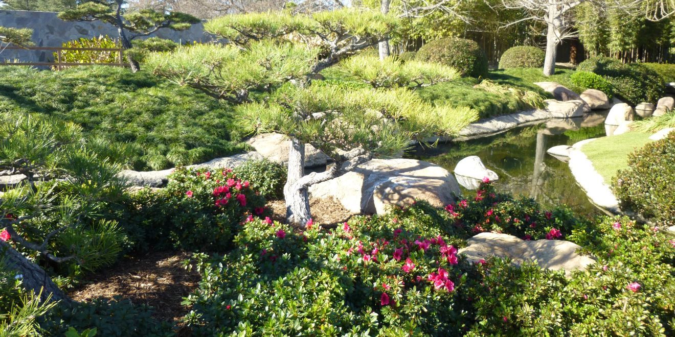 Desvelamos los misterios angelinos: 10 curiosidades fascinantes de Los Ángeles que te cautivarán, ¡descúbrelas ahora mismo! 5 Moncloa UNA CIUDAD DE JARDINES SECRETOS