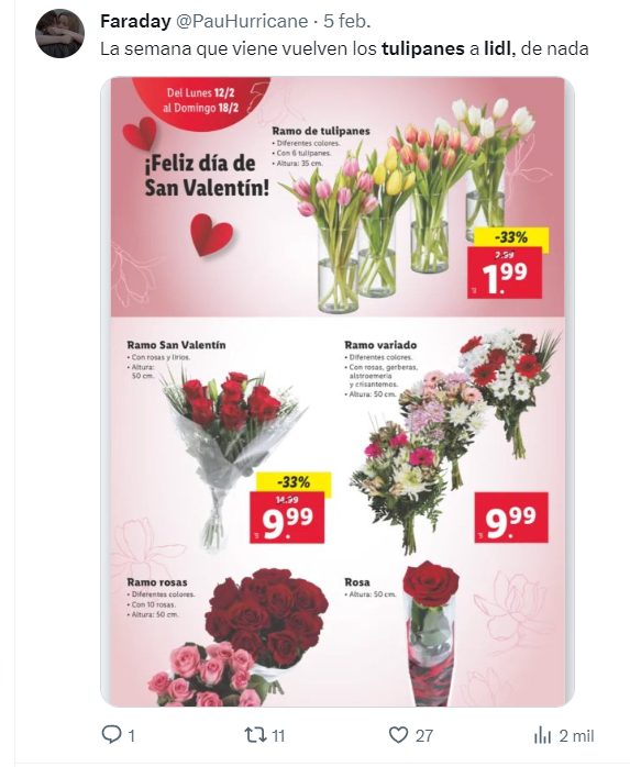 ¡Lidl hace su regreso triunfal este lunes! Este es el exitoso producto con el que arrasó hace meses 3 Moncloa Lidl San Valentin tulipanes 1 Moncloa