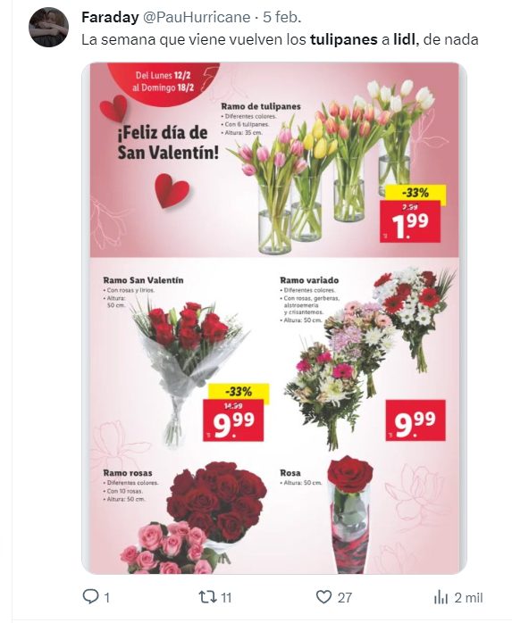 Lidl San Valentin tulipanes 1 Moncloa