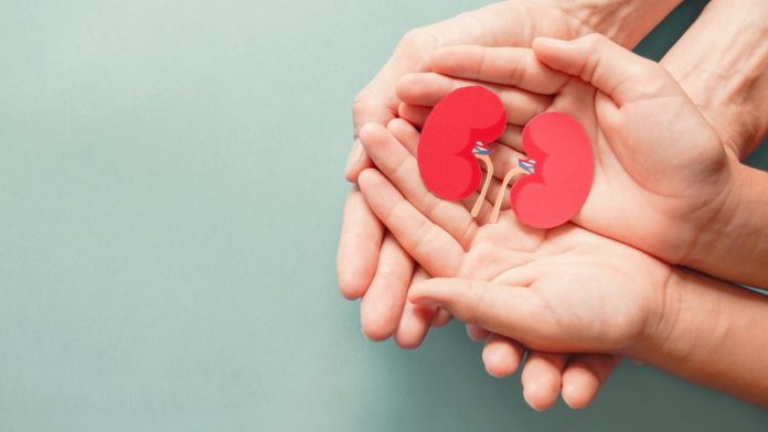 Depura tus riñones naturalmente con esto eficaces remedios caseros: ¡Una guía experta para revitalizar tu salud renal