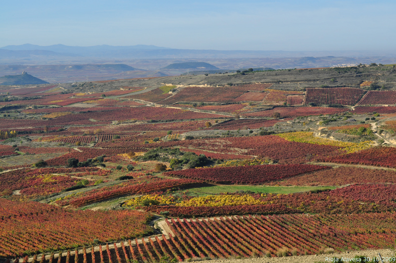 Explora el encanto secreto: 10 curiosidades de La Rioja que te sorprenderán y desconocías hasta hoy 2 Moncloa LOS MONASTERIOS DE SUSO Y YUSO