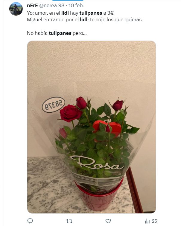 Rosas Lidl Moncloa