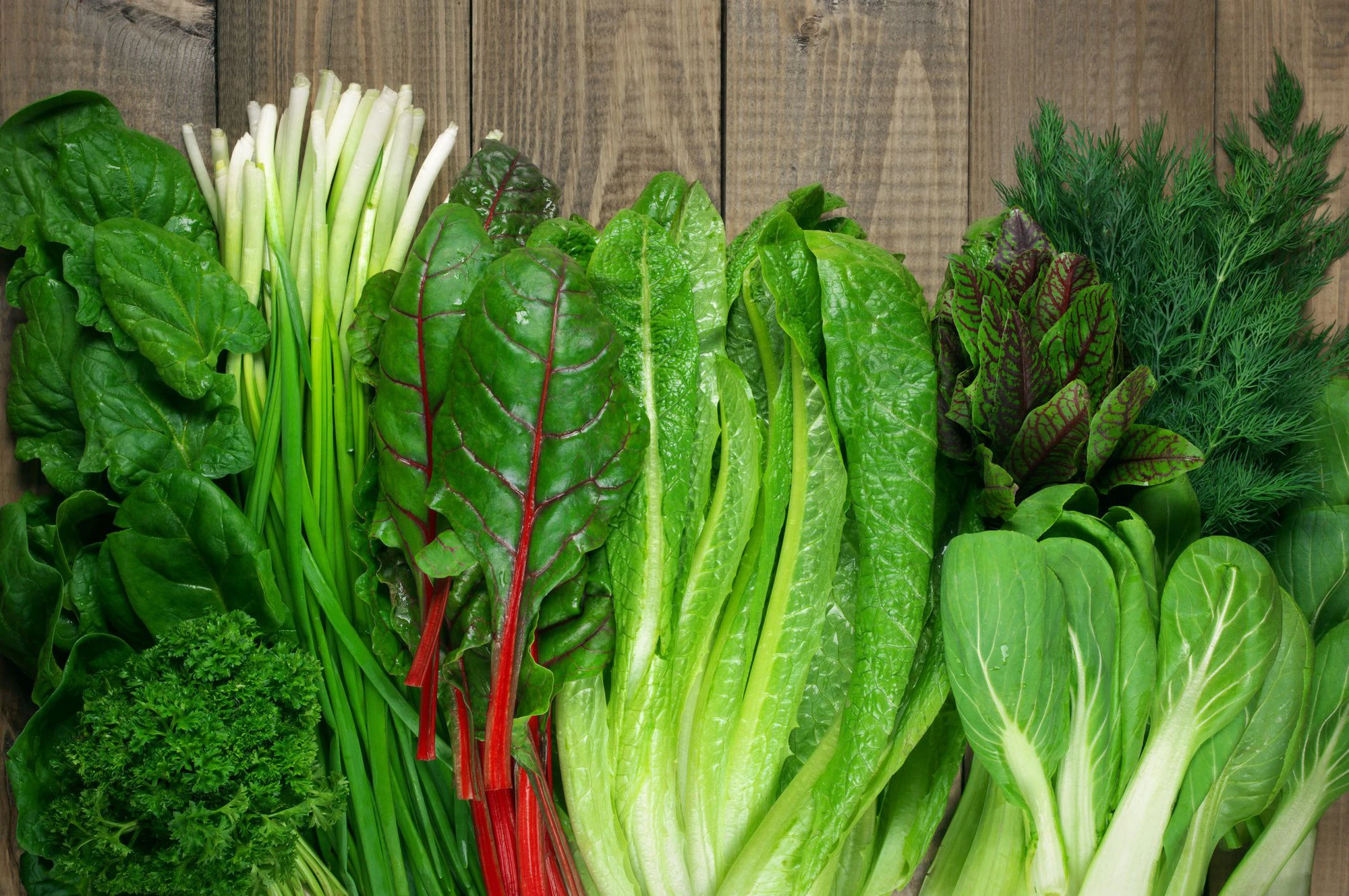 ¡Atención mayores de 60! Descubre los 7 superalimentos para transformar tu dieta 3 Moncloa AGREGA VARIEDAD CON VEGETALES DE HOJA VERDE OSCURA