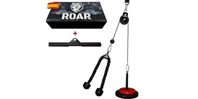 gimnasio amazon