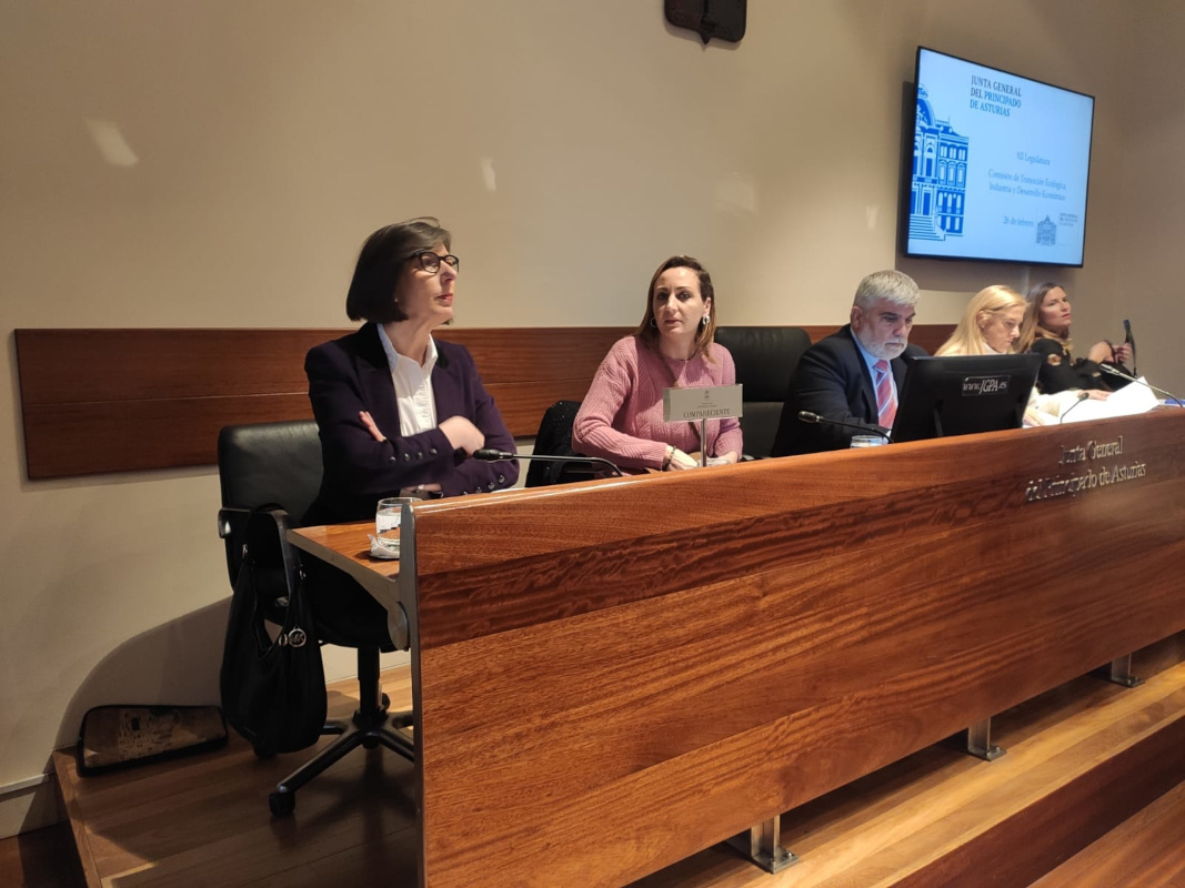 La consejera de los líos, Nieves Roqueñi ha dado explicaciones sobre el caso ITV y el nombramiento del gerente de Aguas de Asturias.