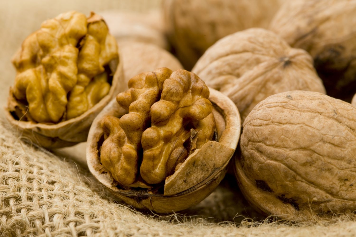 ¡Atención mayores de 60! Descubre los 7 superalimentos para transformar tu dieta 2 Moncloa QUINOA EL GRANO DE ORO DE LOS ANDES Y LAS NUECES UN BOCADO SALUDABLE Y SACIANTE