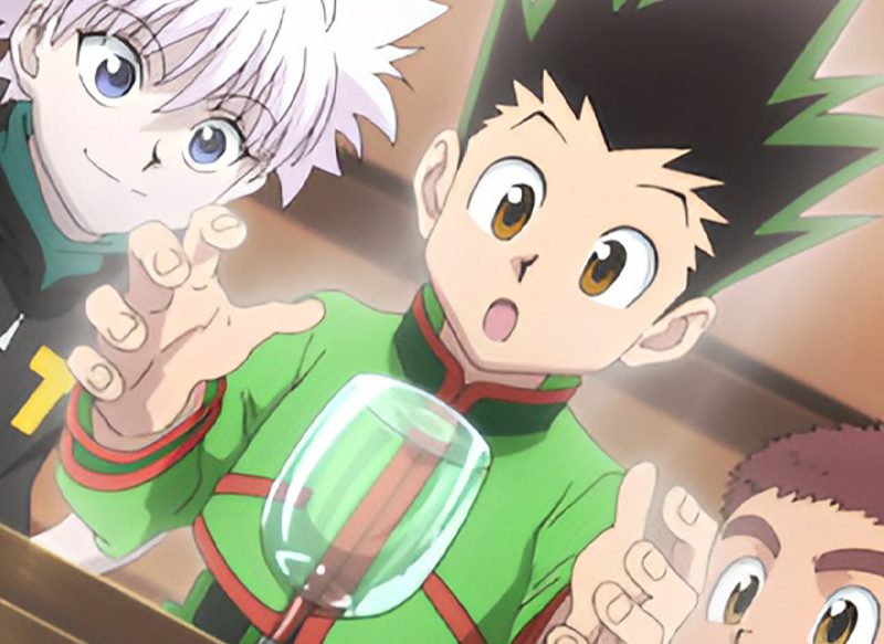 'HUNTER X HUNTER'