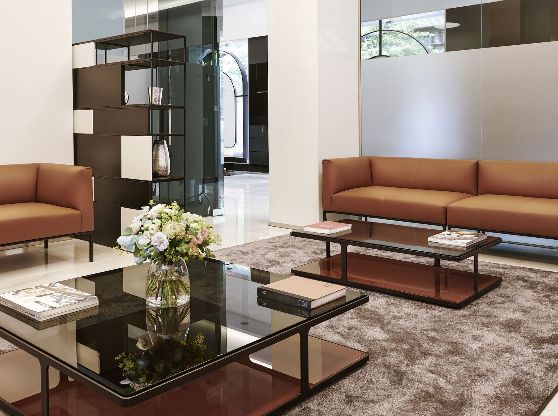 Clínicas Vericat y su instituto de formación para odontólogos referentes en implantología en España 1 Moncloa Sala espera Vericat Madrid Moncloa